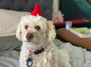 Trying hats for Christmas