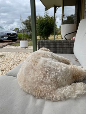 Nap on the porch